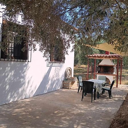 The Small House In The Olive Grove Lefokastro Ngoại thất bức ảnh