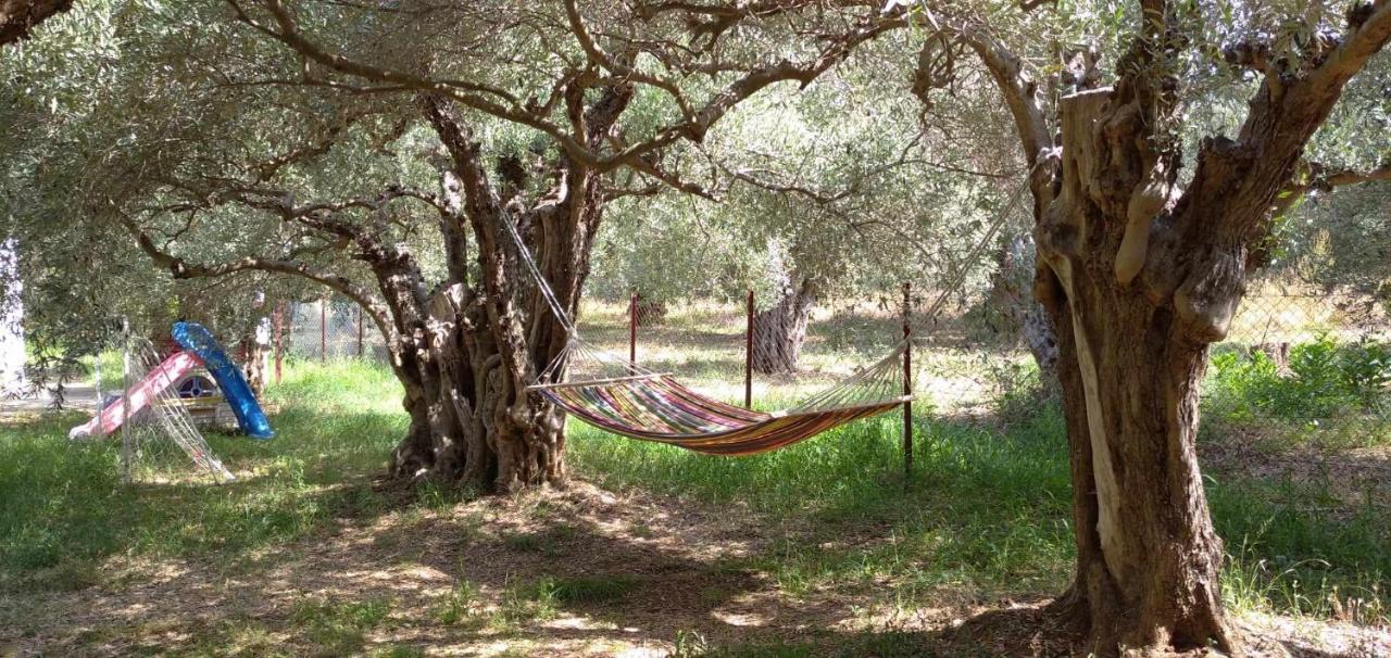 The Small House In The Olive Grove Lefokastro Ngoại thất bức ảnh