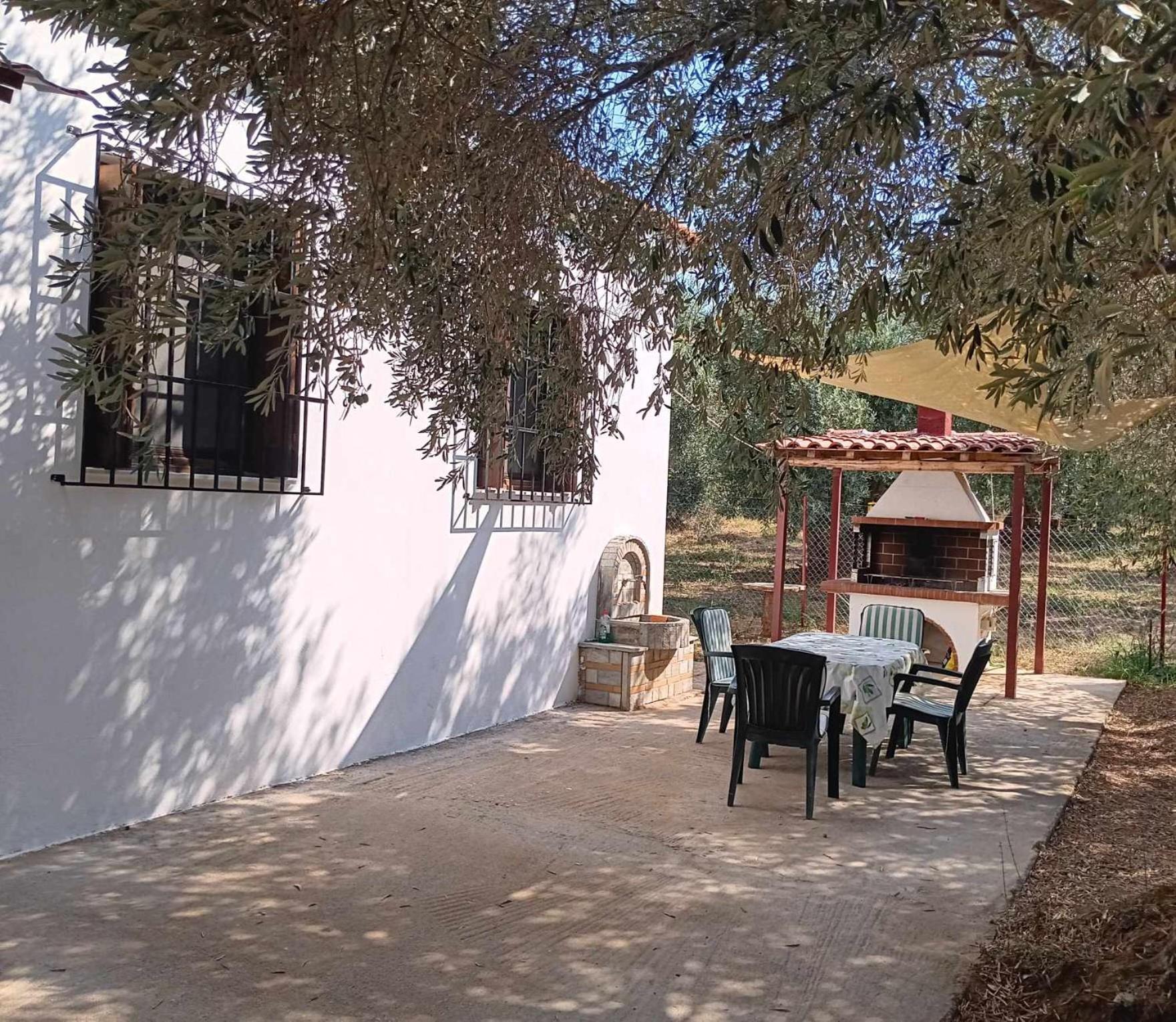 The Small House In The Olive Grove Lefokastro Ngoại thất bức ảnh