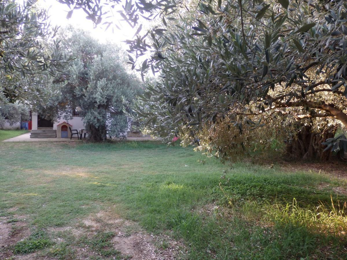 The Small House In The Olive Grove Lefokastro Ngoại thất bức ảnh
