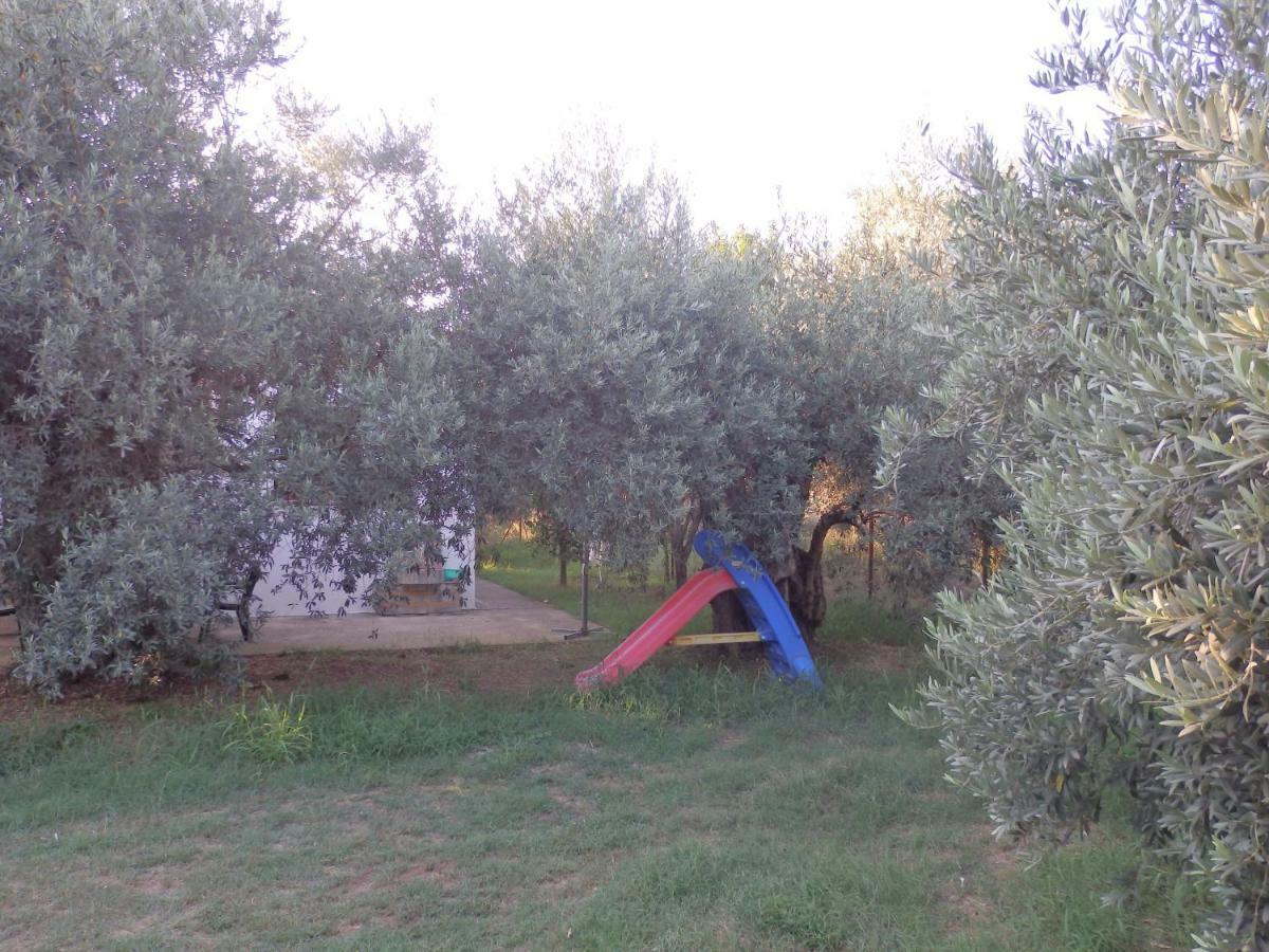 The Small House In The Olive Grove Lefokastro Ngoại thất bức ảnh