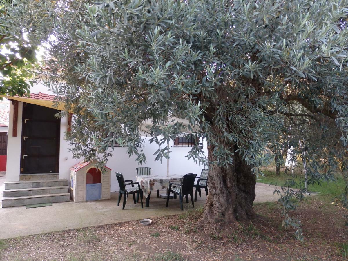 The Small House In The Olive Grove Lefokastro Ngoại thất bức ảnh