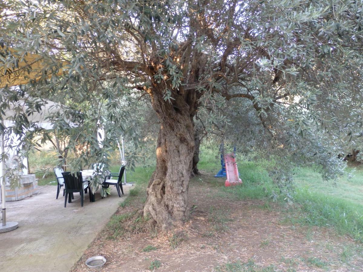 The Small House In The Olive Grove Lefokastro Ngoại thất bức ảnh